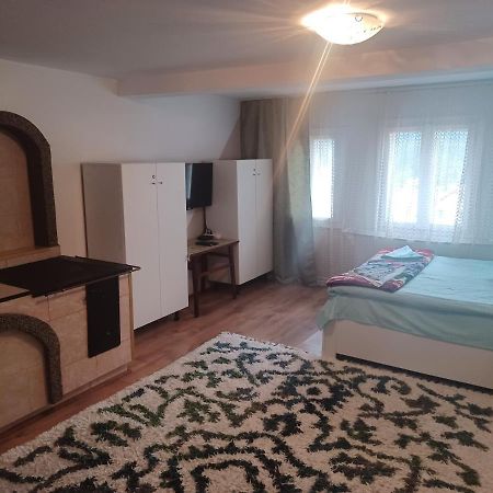 Casa Bucovina Dorna Candrenilor Ascutitele 외부 사진