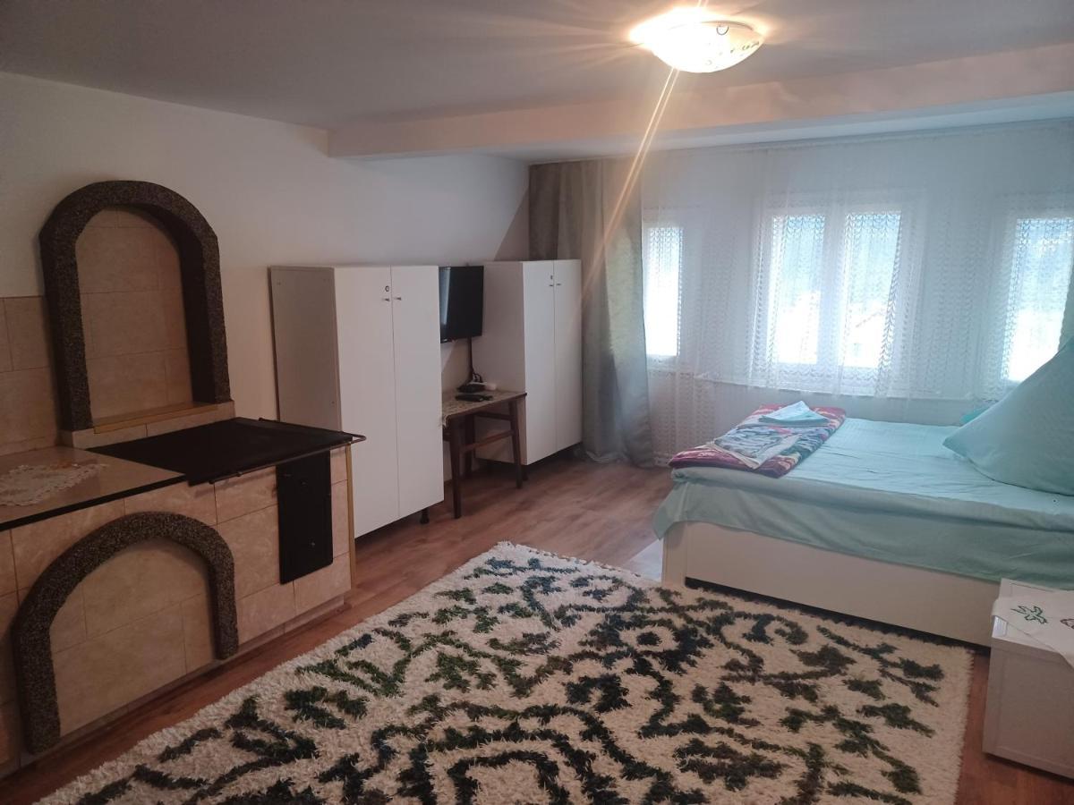 Casa Bucovina Dorna Candrenilor Ascutitele 외부 사진