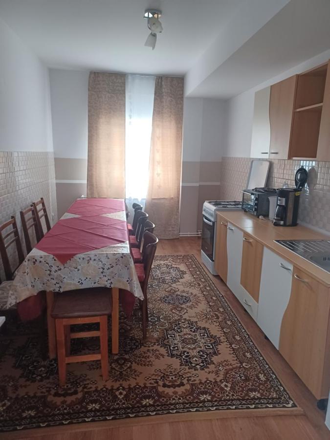 Casa Bucovina Dorna Candrenilor Ascutitele 외부 사진