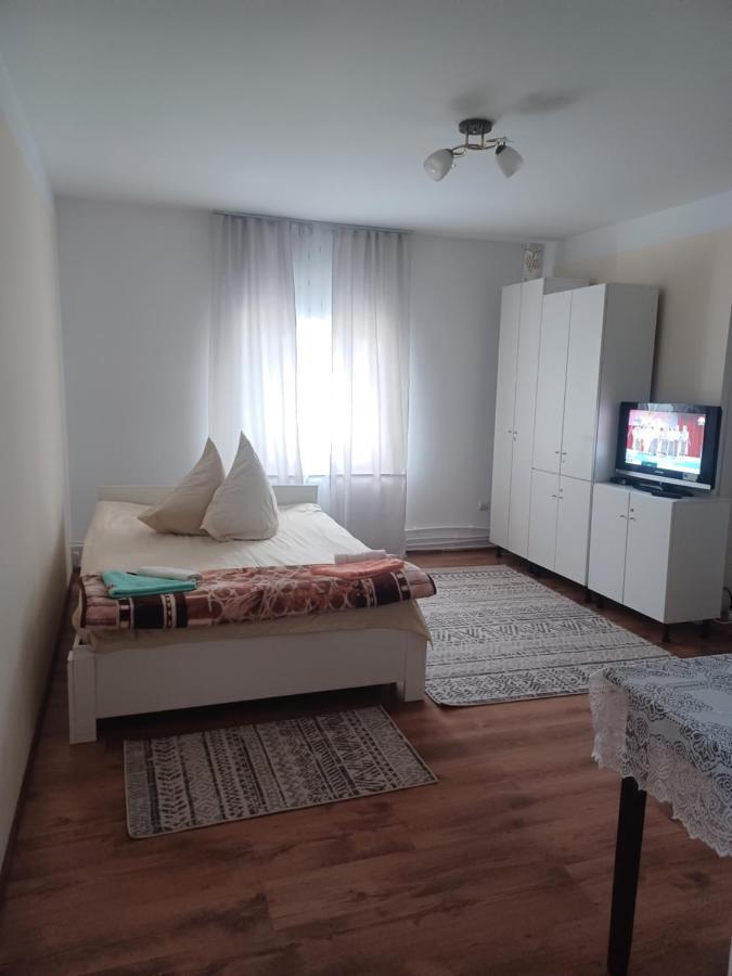 Casa Bucovina Dorna Candrenilor Ascutitele 외부 사진